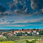 Апартаменты Wine & Vinales *