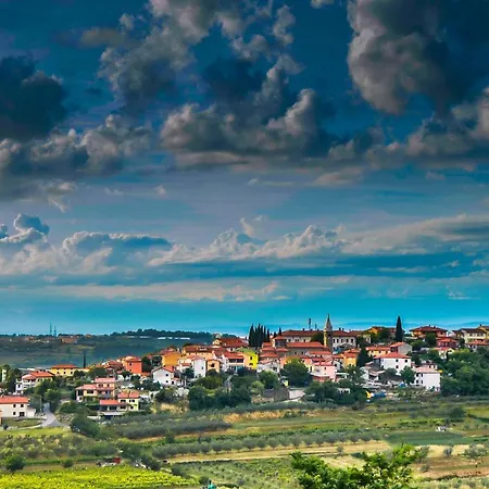 Daire Wine & Vinales *