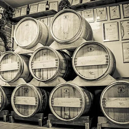 Wine & Vinales Apartment Koper