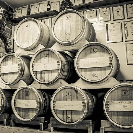 Wine&apartment Vinales Apartment Koper