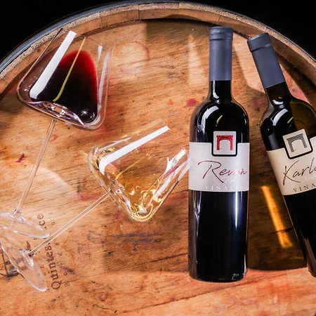 Wine&apartment Vinales