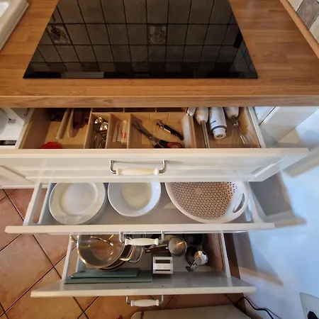 Daire Wine & Vinales