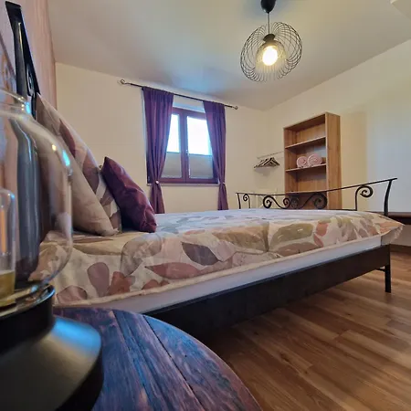 Wine & Vinales * Koper