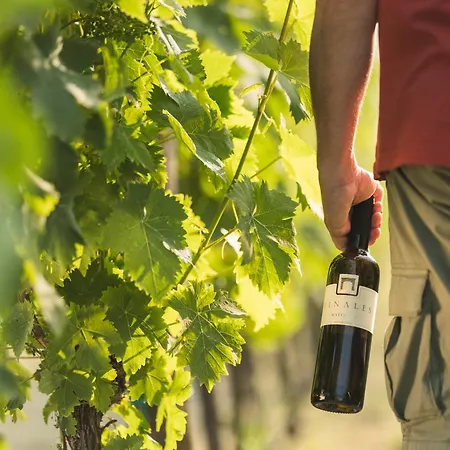 Wine & Vinales Lägenhet *