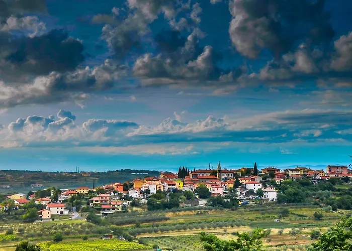 Διαμέρισμα Wine & Vinales *