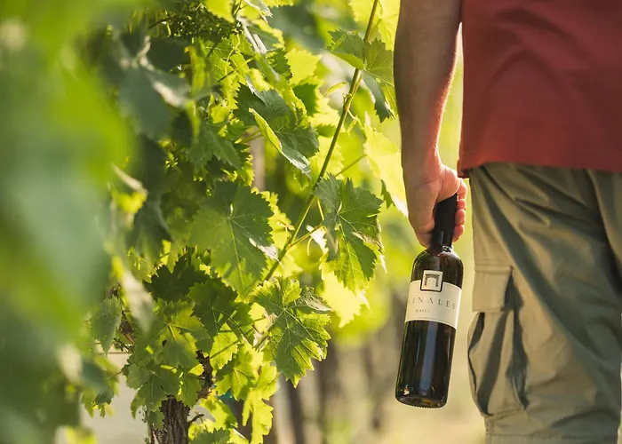 Wine & Vinales Διαμέρισμα *